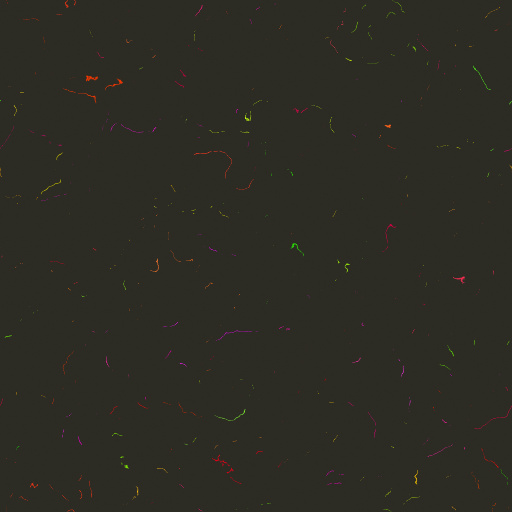 Variation 4