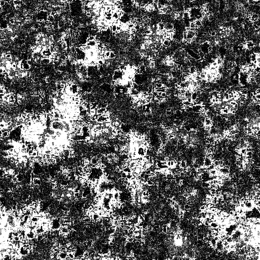 Reflective Occlusion Map