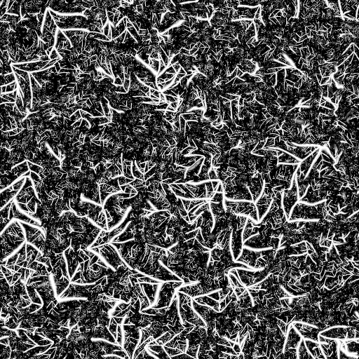 Branchoize (Texture)
