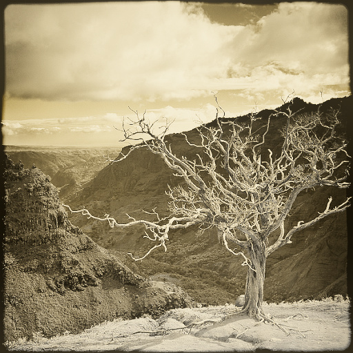 Variation 1