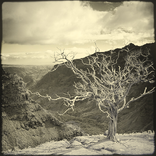Variation 6