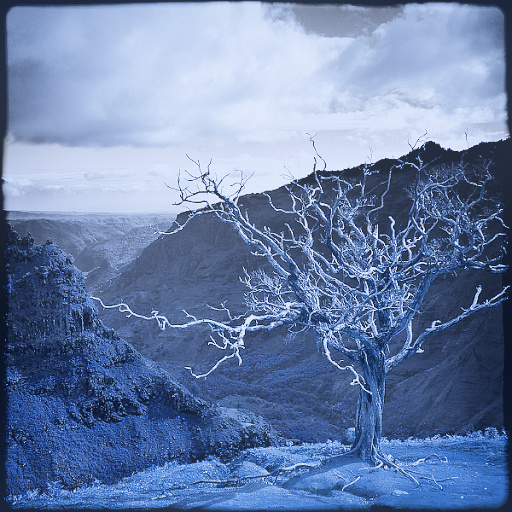 Variation 8