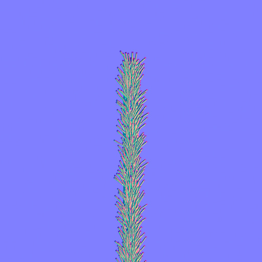 Normal Map