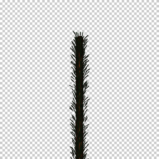 Variation 2