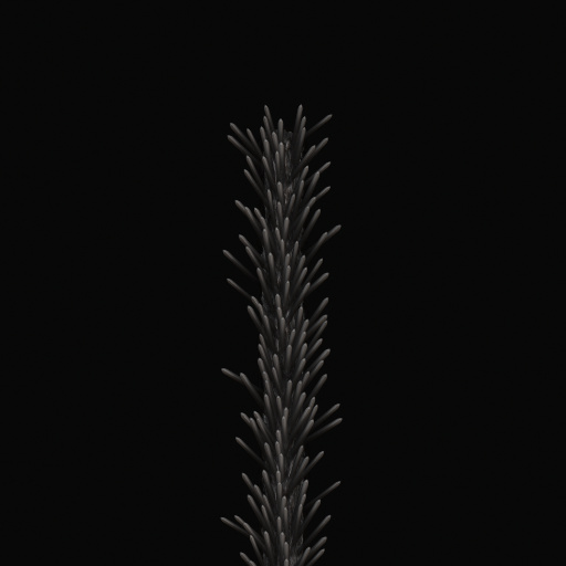 Variation 6