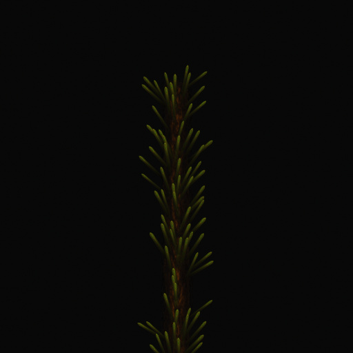 Variation 7