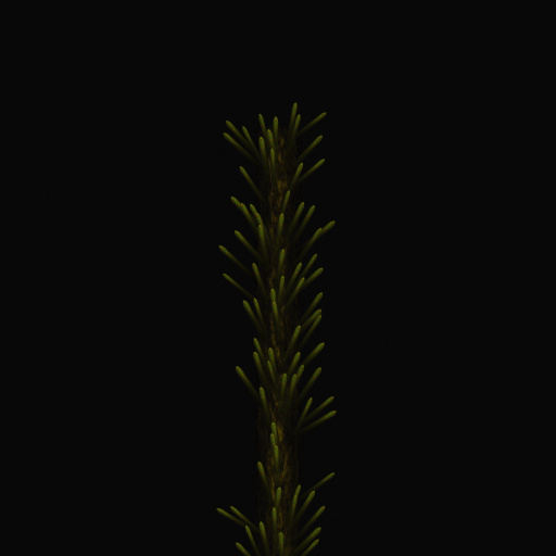 Variation 8