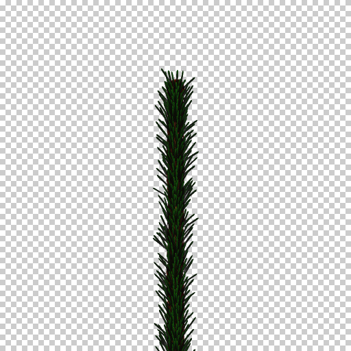 Needle (Texture)