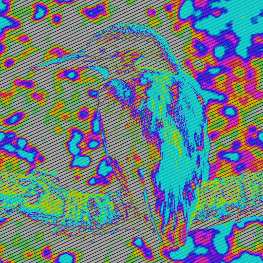 Variation 1