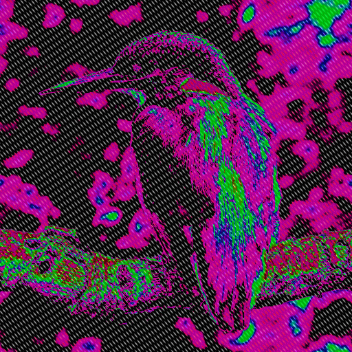 Variation 6