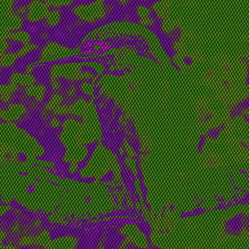 Variation 8