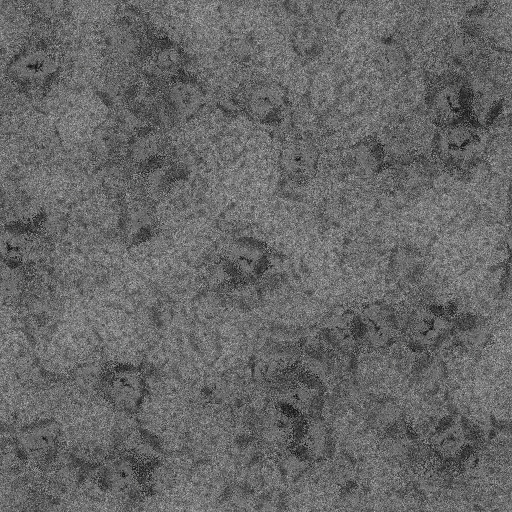 Ambient Occlusion Map