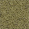 Stony Sand
