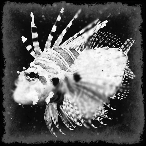 Variation 1