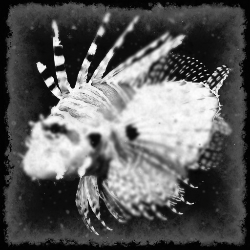 Variation 2