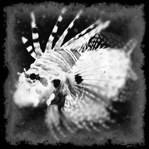 Variation 3