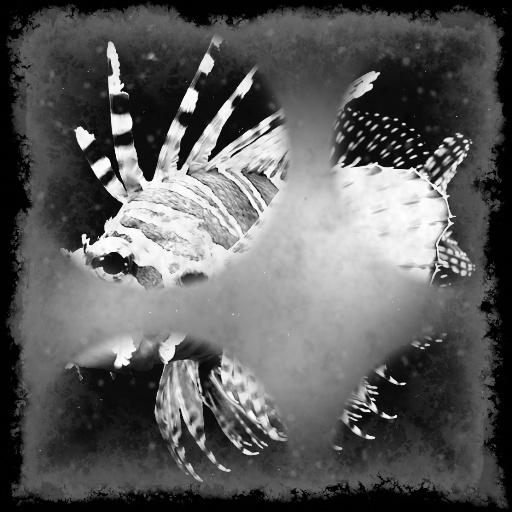 Variation 4