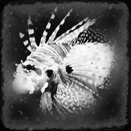 Variation 5