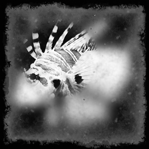 Variation 8