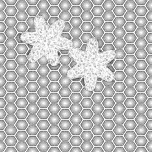 Ambient Occlusion Map