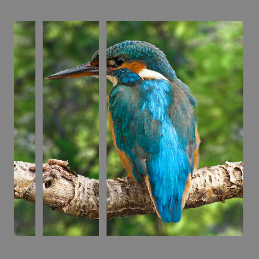 Variation 3