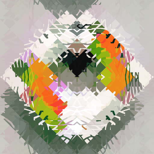Variation 8