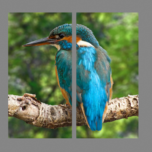 Variation 1