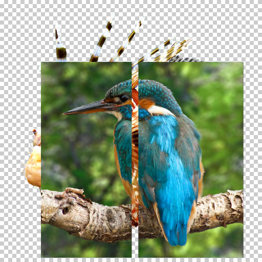 Variation 6