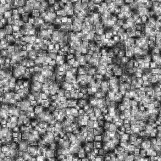 Ambient Occlusion Map