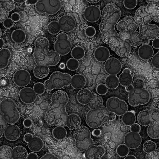 Ambient Occlusion Map