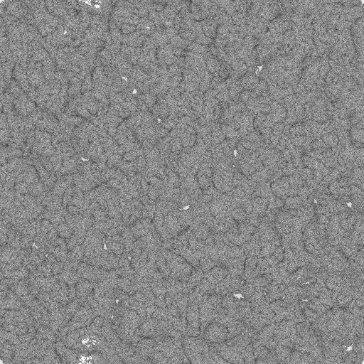 Ambient Occlusion Map