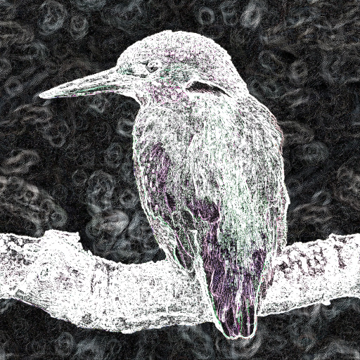 Variation 4