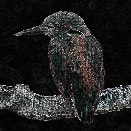 Variation 7