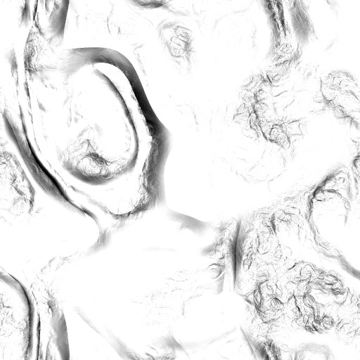 Reflective Occlusion Map