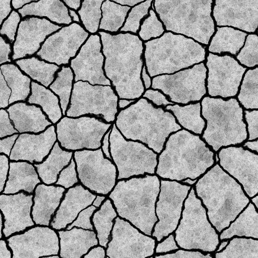 Ambient Occlusion Map