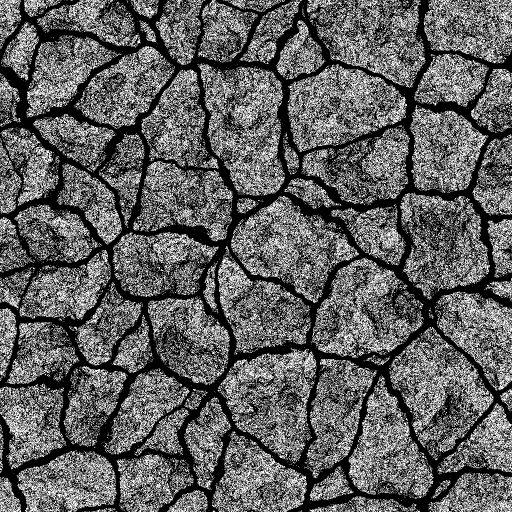 Reflective Occlusion Map