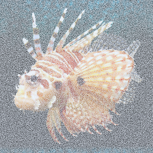 Variation 5