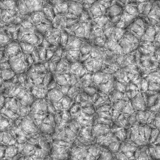 Ambient Occlusion Map