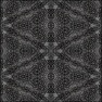 spiderweb