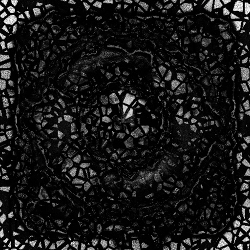 Ambient Occlusion Map