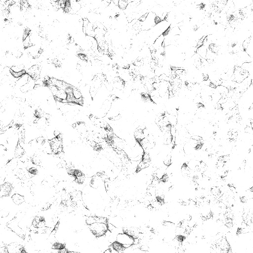 Ambient Occlusion Map