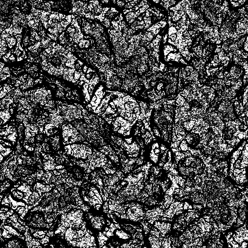 Reflective Occlusion Map