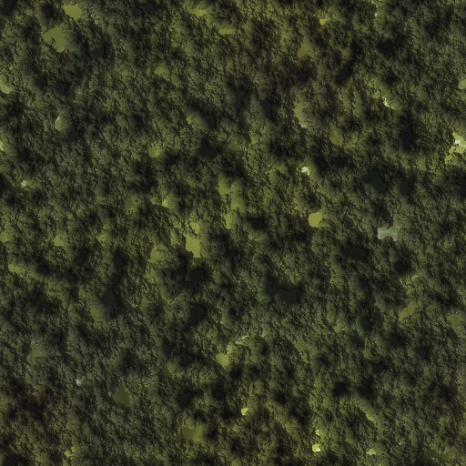 Variation 5
