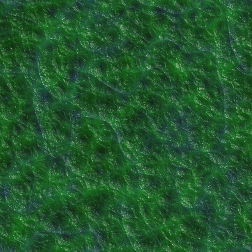 Variation 4