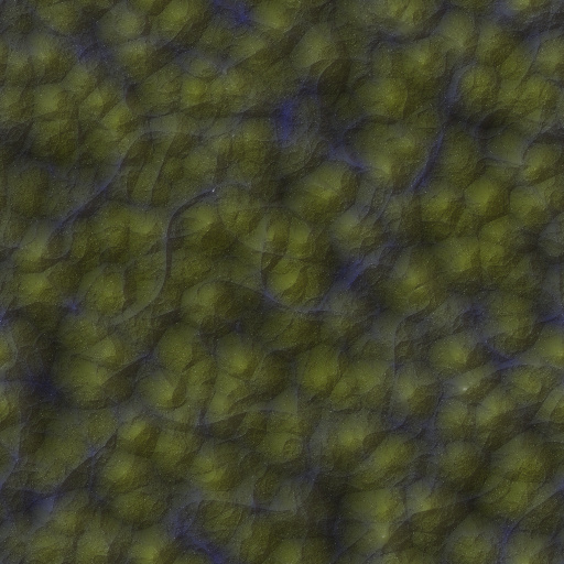 Variation 7