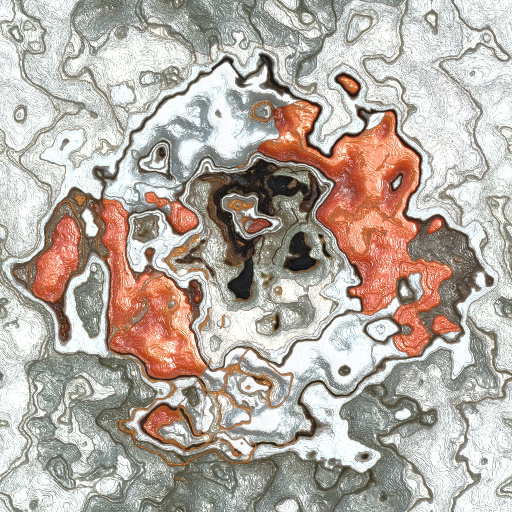 Variation 3