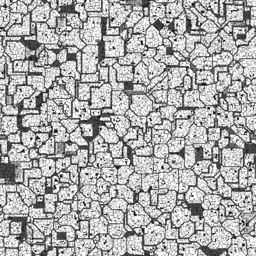 Bump Map