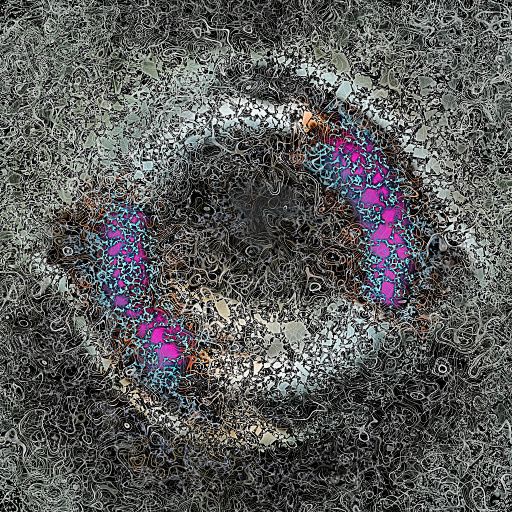 Variation 6
