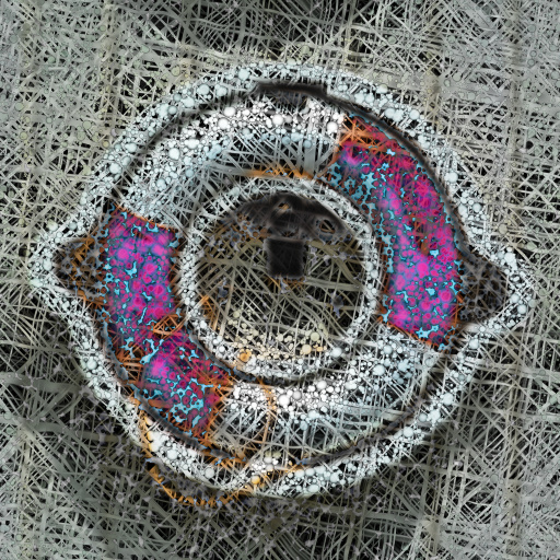 Variation 7