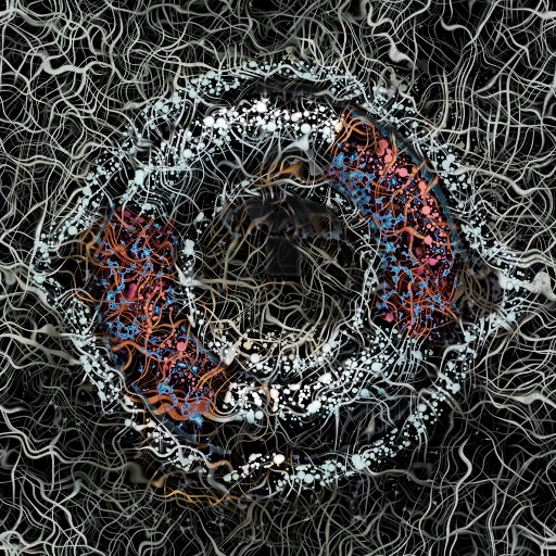 Variation 8